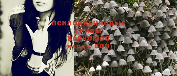 стаф Медвежьегорск