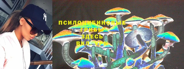 ГАЛЛЮЦИНОГЕННЫЕ ГРИБЫ Мегион
