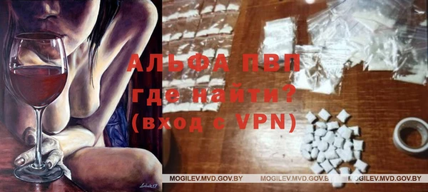 стаф Медвежьегорск